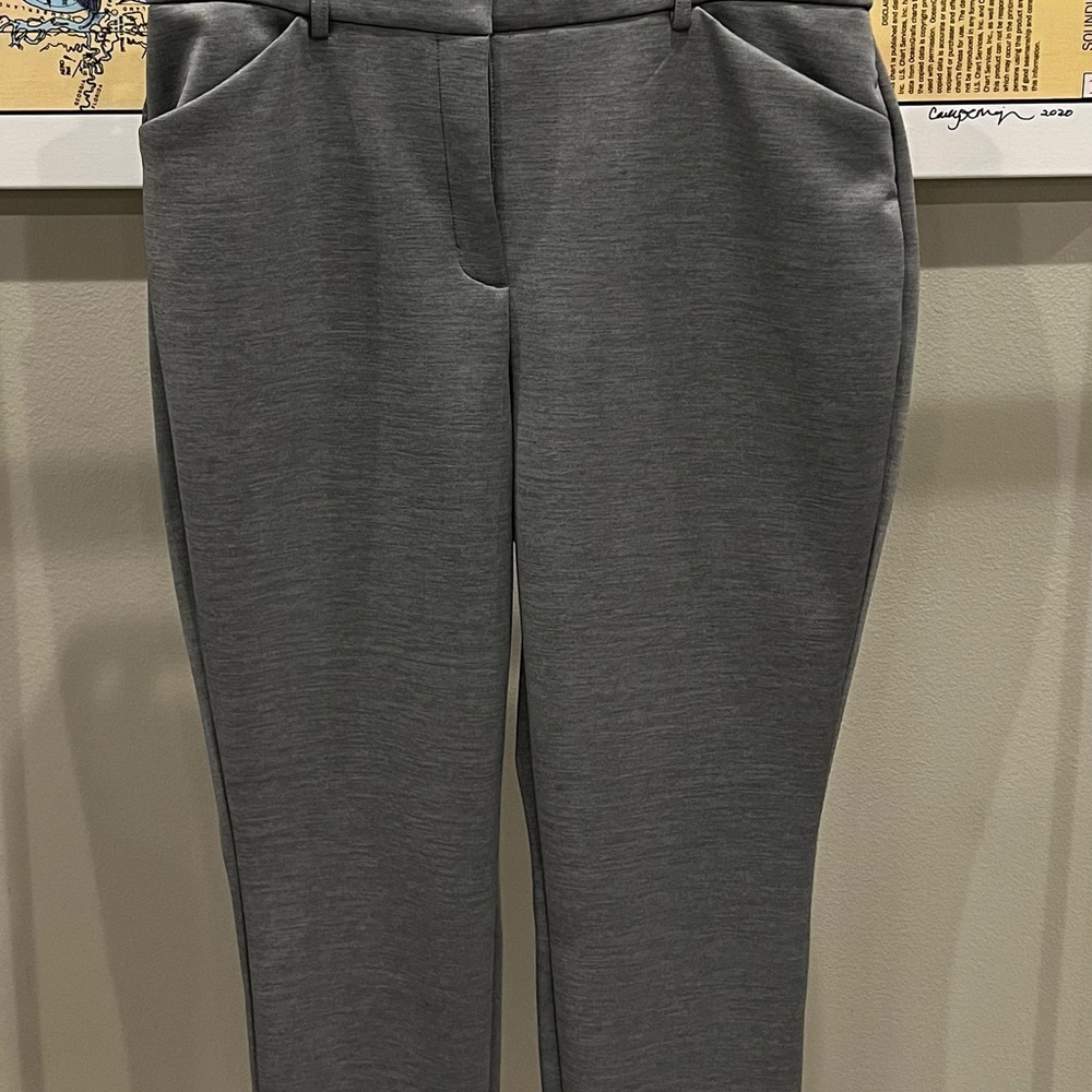 Large Grey Express Pants